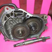 ingranaggi posteriori Beverly 250/300