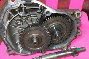 ingranaggi posteriori Beverly 250/300