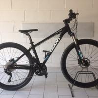 Mtb Giant