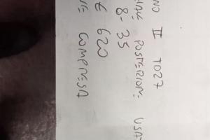 DIFFERENZIALE POSTERIORE USATO TERRANO II TD27