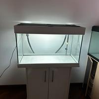 Acquari 100 litri