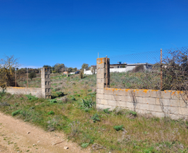 Terreno agricolo
