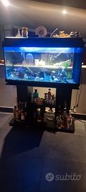 Acquario 200 litri