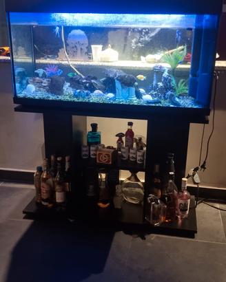Acquario 200 litri