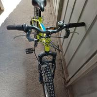 Bicicletta taglia 20