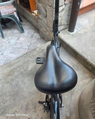 Bicicletta Elettrica 
