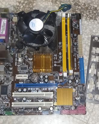 SCHEDA MADRE ASUS P5KPL-AM