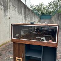 Terrario 100x60x60