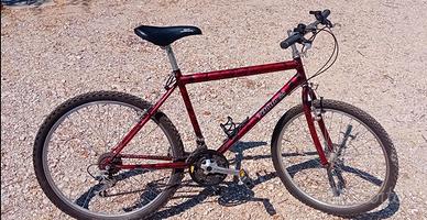 Mtb 26 pollici