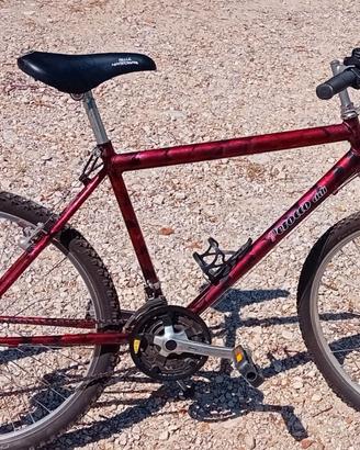 Mtb 26 pollici