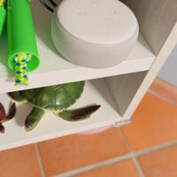 Ecosistema Amazon Alexa