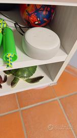 Ecosistema Amazon Alexa