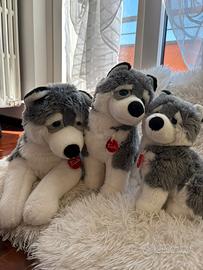 famiglia di husky della trudi