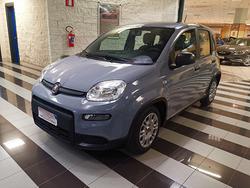Fiat Panda 1.0 FireFly S&S Hybrid 2023