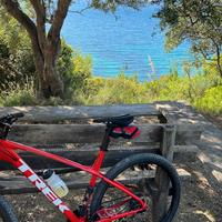 Trek 29