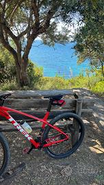 Trek 29