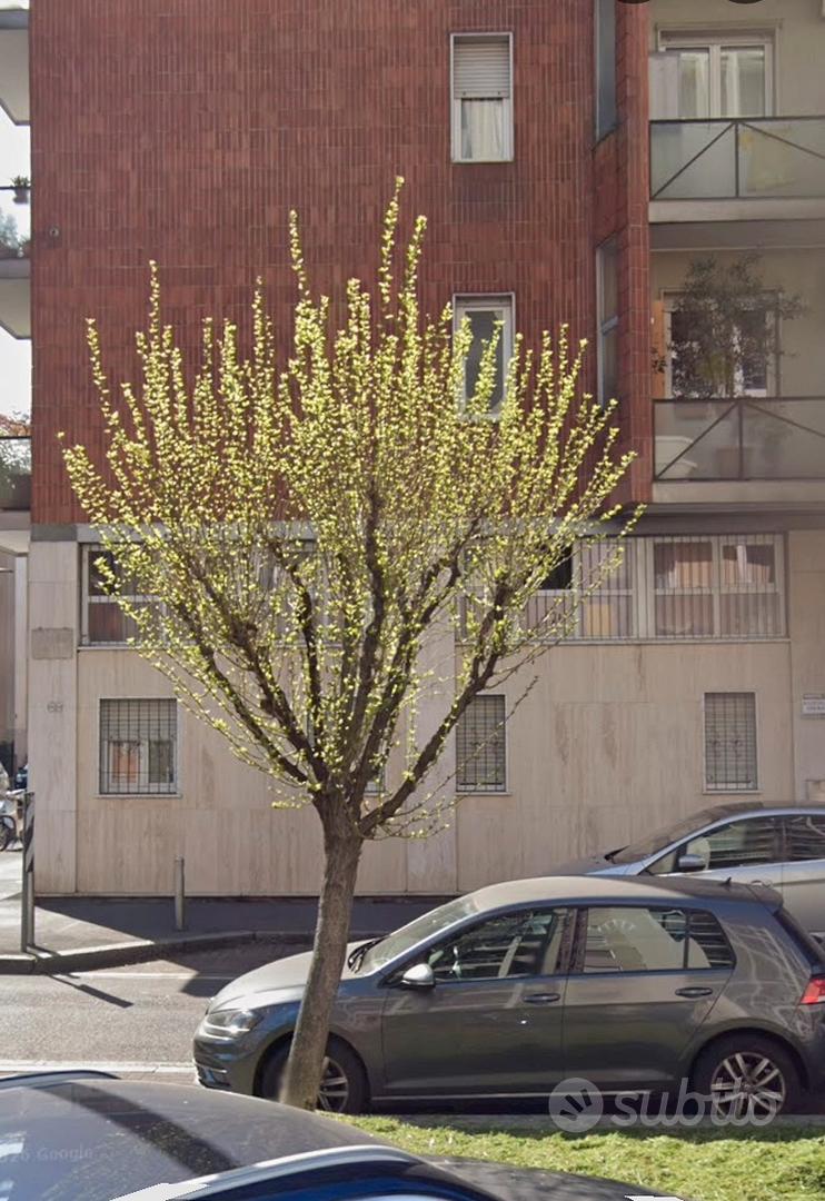 Appartamento – Milano, Abbadesse, Municipio 2 - Vista 3