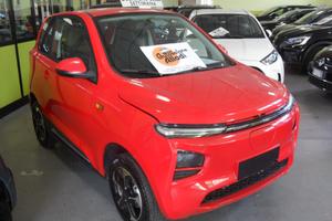 Wuling W300 CARGO 170