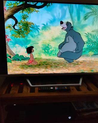 Smart TV Led Saba 40 Pollici FHD Wi-Fi 