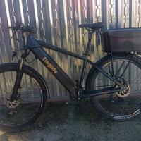 Bicicletta elettrica