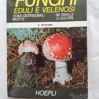 Funghi eduli e velenosi - Come distinguerli - Rice
