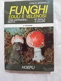 Funghi eduli e velenosi - Come distinguerli - Rice