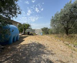 TER. AGRICOLO A MONTEROTONDO