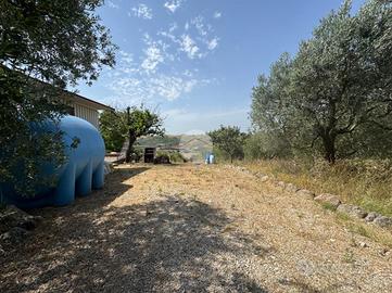 TER. AGRICOLO A MONTEROTONDO