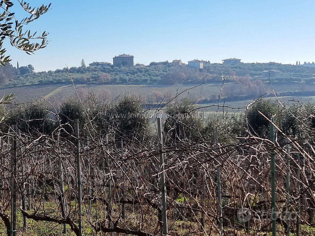 TE69 - Montepulciano terreno dove si può - Vista 5