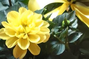 Due posti letto per coppia