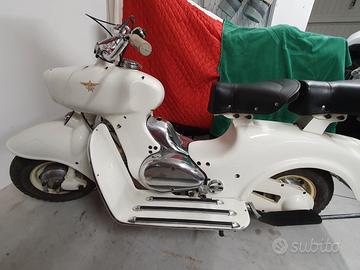 Rumi formichino 1955