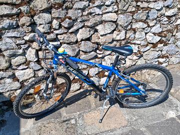 Bici mountain bike ruota 26