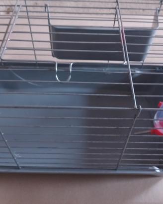 Gabbia per animali piccola taglia 