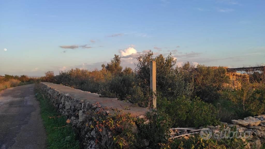Rustico / Casale di 145 m² con 1 locale a Racale - Vista 2