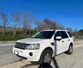 LAND ROVER Freelander 2.2 SD4 Automatico HSE