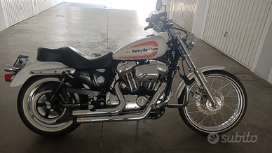 Splendio esemplare Harley Davidson