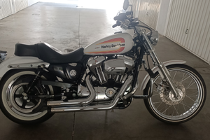 Splendio esemplare Harley Davidson