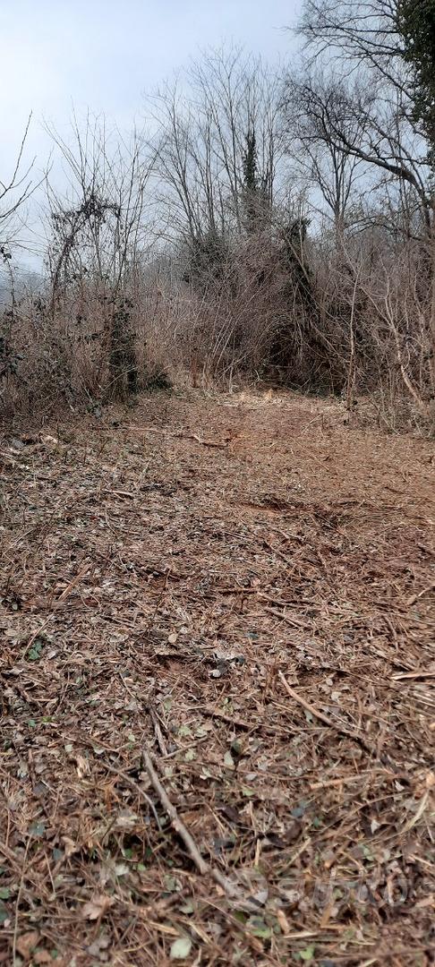 Terreno agricolo - Vista 4