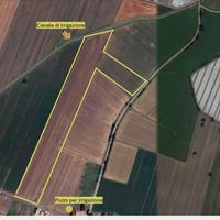 Terreno agricolo in provincia di mantova
