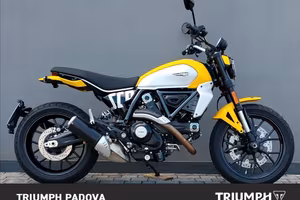 Ducati Scrambler 800 Icon Yellow - 2025