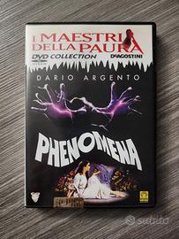 DVD Phenomena