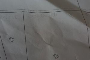 Fondo rustico boschivo