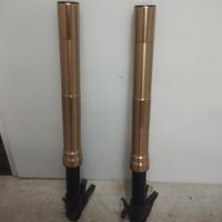 ricambi ducati panigale 1299/1199/899