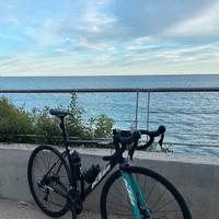 Bici carbonio