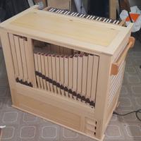 Organo a canne