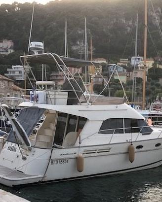 ACM EXCELLENCE 38 del 2006