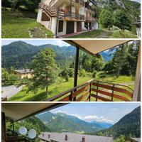 Appartamento Forni Avoltri località Ciolos Sappada