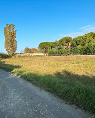 Terreno Agricolo Cesenatico