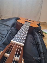 chitarra e accessori 