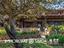 Immagine 25